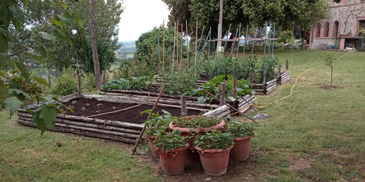 Agriturismo Riparossa Allerona Luaran gambar