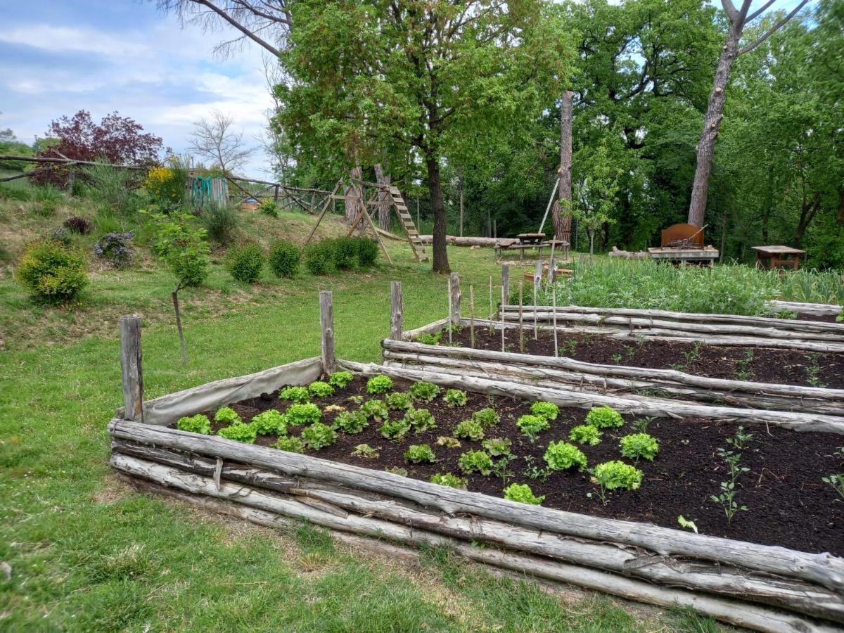 Agriturismo Riparossa Allerona Luaran gambar
