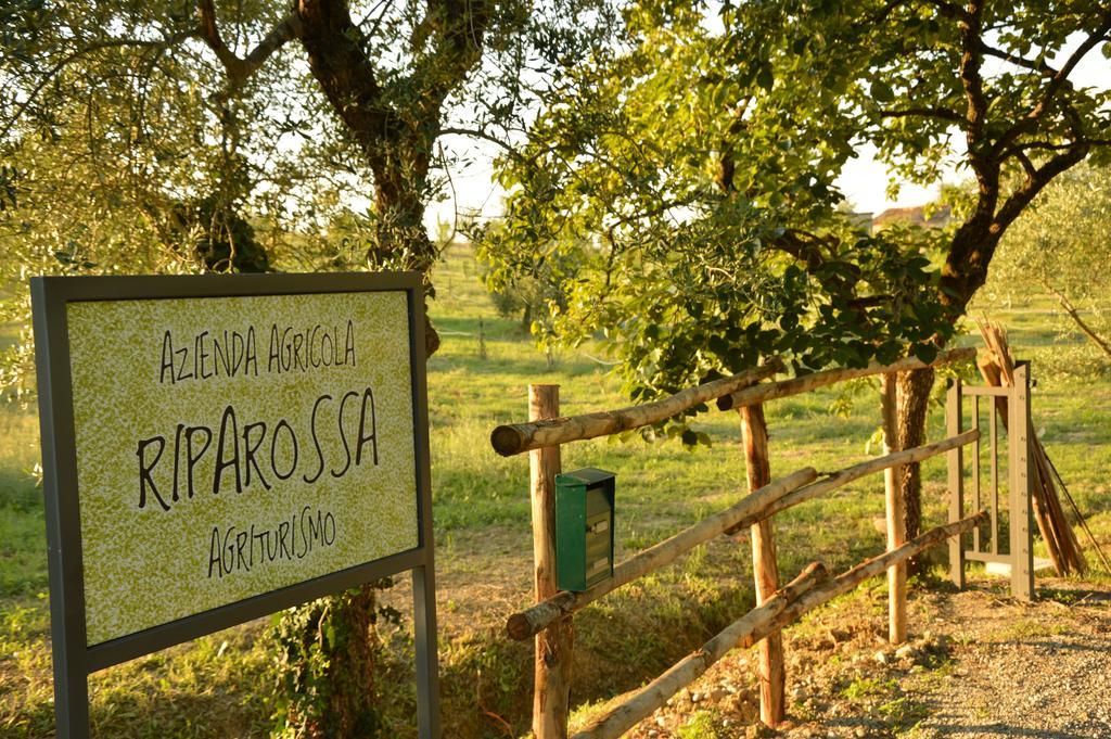Agriturismo Riparossa Allerona Luaran gambar