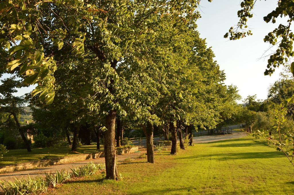 Agriturismo Riparossa Allerona Luaran gambar