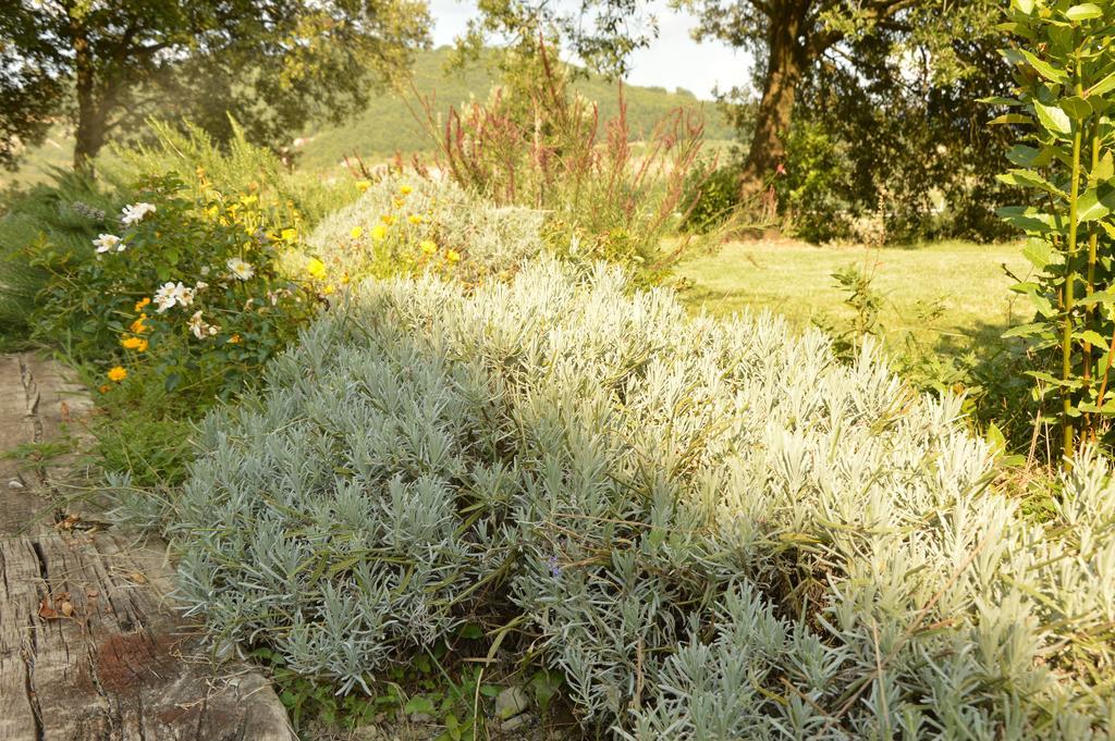 Agriturismo Riparossa Allerona Luaran gambar