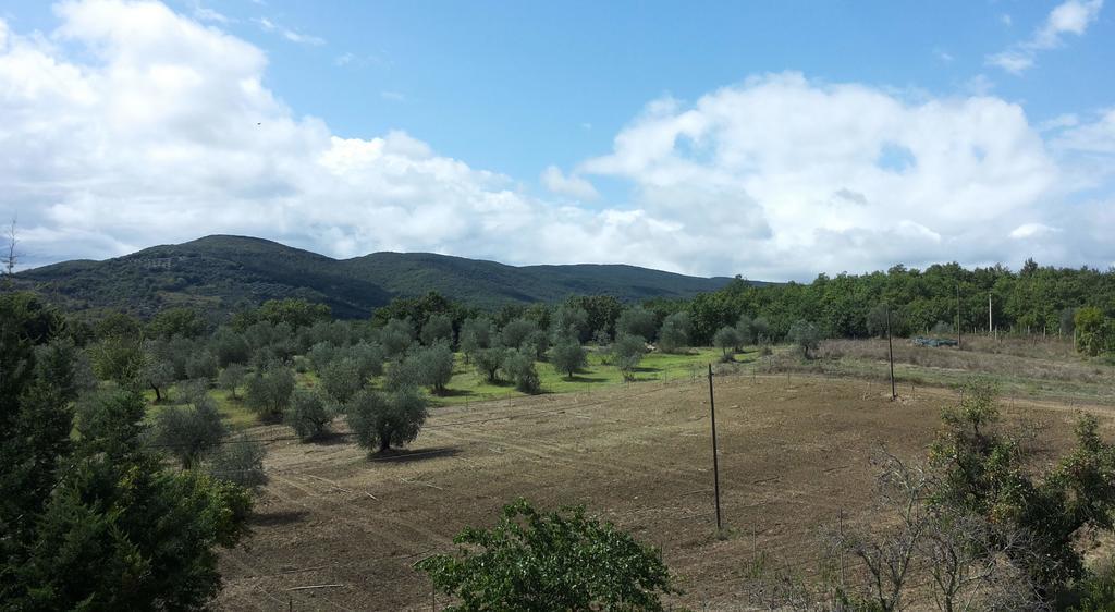 Agriturismo Riparossa Allerona Luaran gambar