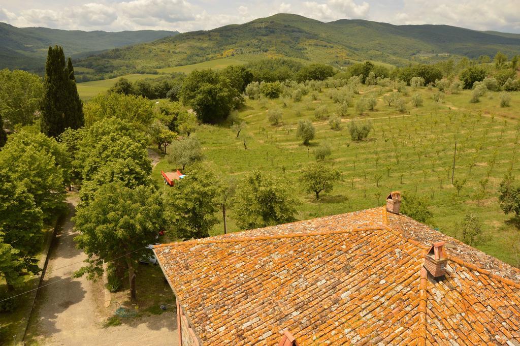 Agriturismo Riparossa Allerona Luaran gambar