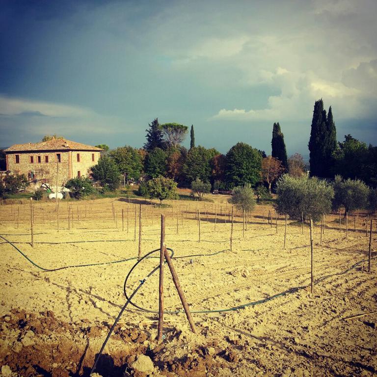 Agriturismo Riparossa Allerona Luaran gambar