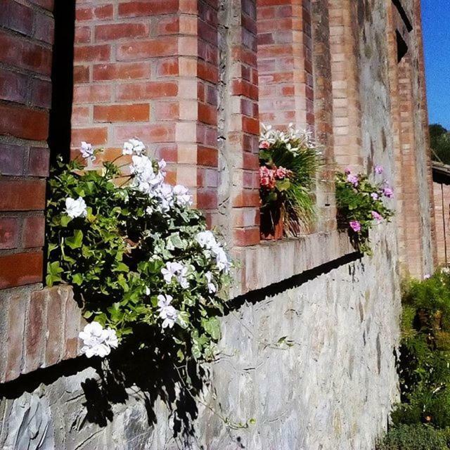 Agriturismo Riparossa Allerona Luaran gambar