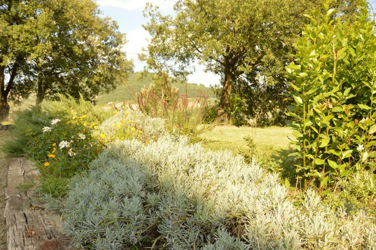 Agriturismo Riparossa Allerona Luaran gambar