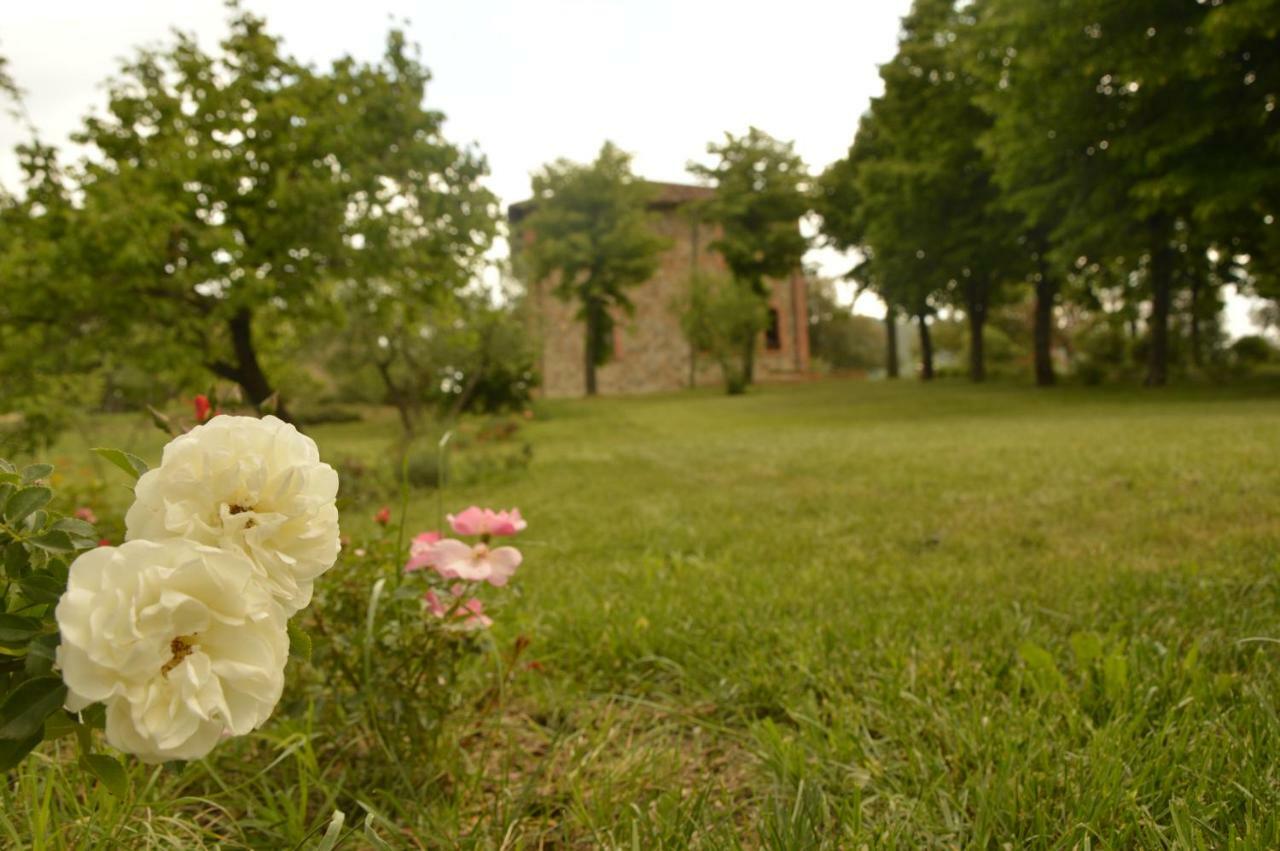 Agriturismo Riparossa Allerona Luaran gambar