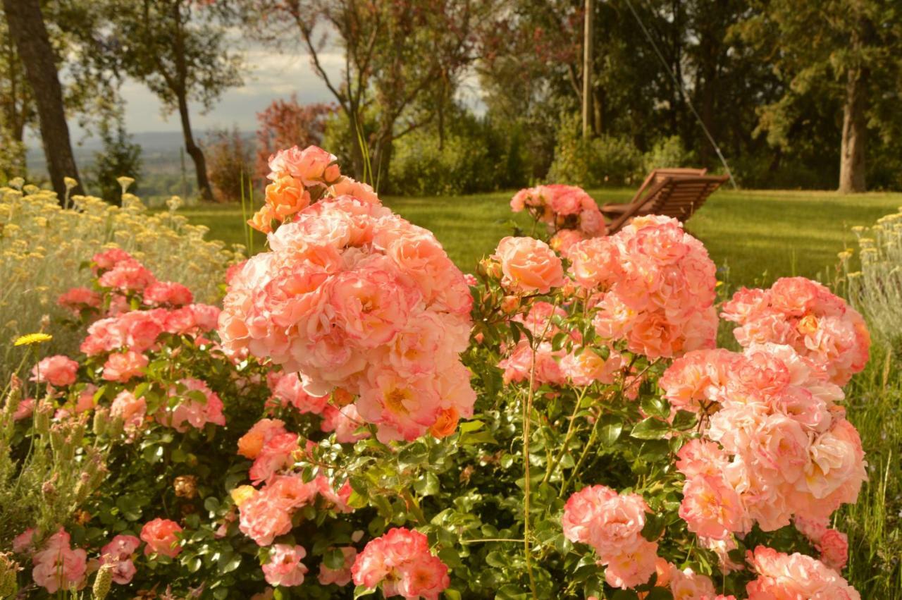 Agriturismo Riparossa Allerona Luaran gambar
